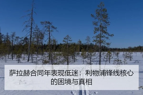 sa-la-he-he-tong-nian-biao-xian-di-mi-li-wu-pu-feng-xian-he-xin-de-kun-jing-yu-zhen-xiang-2-371.jpg